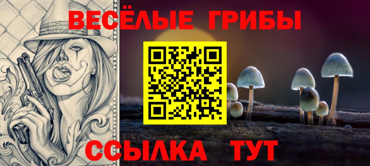 Псилоцибиновые грибы MAGIC MUSHROOMS Вятские Поляны