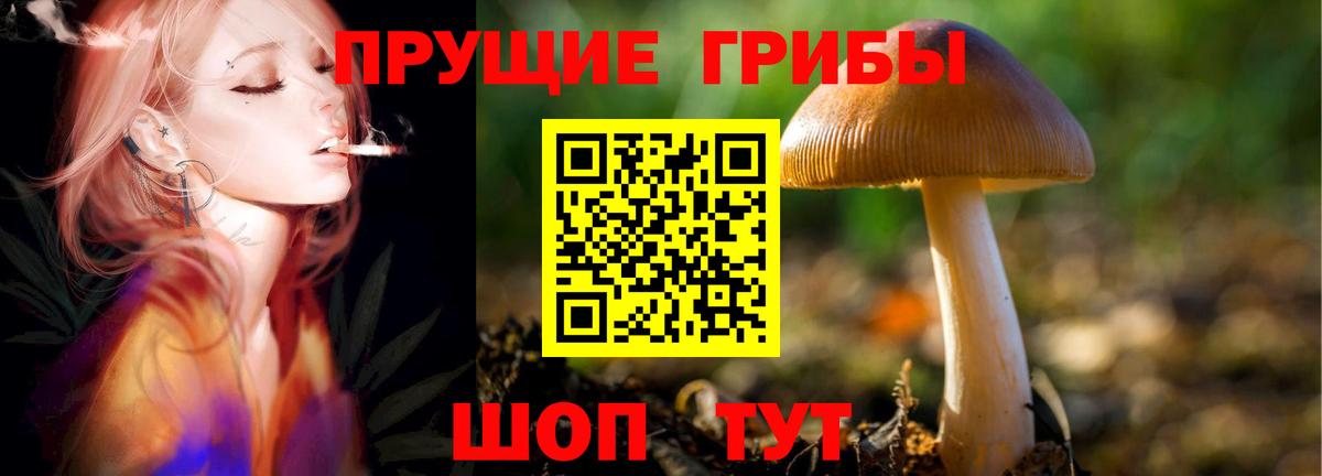 Вятские Поляны  Псилоцибиновые грибы мухоморы  Вход с VPN 